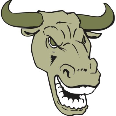 AR BULL 34 RC Thumbnail