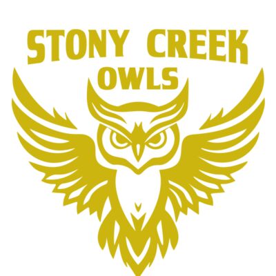 School Owls 04 Thumbnail