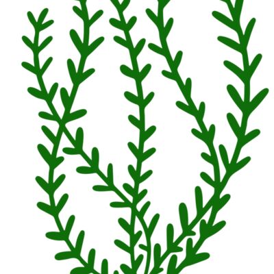 Sea Plants 3 Thumbnail