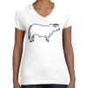 Women's Fine Jersey V-Neck Tee Thumbnail