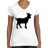 Women's Fine Jersey V-Neck Tee Thumbnail