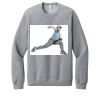 Unisex Sponge Fleece Raglan Sweatshirt Thumbnail