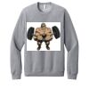 Unisex Sponge Fleece Raglan Sweatshirt Thumbnail