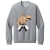 Unisex Sponge Fleece Raglan Sweatshirt Thumbnail