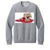 Unisex Sponge Fleece Raglan Sweatshirt Thumbnail
