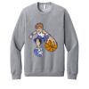 Unisex Sponge Fleece Raglan Sweatshirt Thumbnail