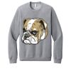 Unisex Sponge Fleece Raglan Sweatshirt Thumbnail