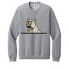 Unisex Sponge Fleece Raglan Sweatshirt Thumbnail