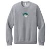 Unisex Sponge Fleece Raglan Sweatshirt Thumbnail