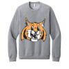 Unisex Sponge Fleece Raglan Sweatshirt Thumbnail