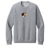 Unisex Sponge Fleece Raglan Sweatshirt Thumbnail