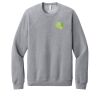 Unisex Sponge Fleece Raglan Sweatshirt Thumbnail