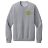 Unisex Sponge Fleece Raglan Sweatshirt Thumbnail