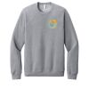Unisex Sponge Fleece Raglan Sweatshirt Thumbnail
