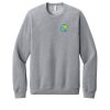 Unisex Sponge Fleece Raglan Sweatshirt Thumbnail
