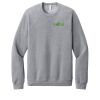 Unisex Sponge Fleece Raglan Sweatshirt Thumbnail