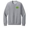 Unisex Sponge Fleece Raglan Sweatshirt Thumbnail