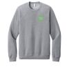 Unisex Sponge Fleece Raglan Sweatshirt Thumbnail