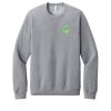 Unisex Sponge Fleece Raglan Sweatshirt Thumbnail