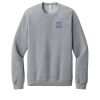 Unisex Sponge Fleece Raglan Sweatshirt Thumbnail