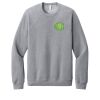 Unisex Sponge Fleece Raglan Sweatshirt Thumbnail