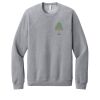 Unisex Sponge Fleece Raglan Sweatshirt Thumbnail