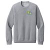 Unisex Sponge Fleece Raglan Sweatshirt Thumbnail