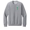 Unisex Sponge Fleece Raglan Sweatshirt Thumbnail