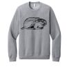 Unisex Sponge Fleece Raglan Sweatshirt Thumbnail
