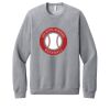 Unisex Sponge Fleece Raglan Sweatshirt Thumbnail