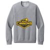Unisex Sponge Fleece Raglan Sweatshirt Thumbnail