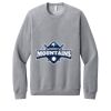Unisex Sponge Fleece Raglan Sweatshirt Thumbnail