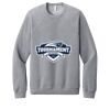 Unisex Sponge Fleece Raglan Sweatshirt Thumbnail