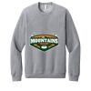 Unisex Sponge Fleece Raglan Sweatshirt Thumbnail