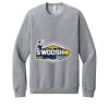 Unisex Sponge Fleece Raglan Sweatshirt Thumbnail