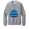 Unisex Sponge Fleece Raglan Sweatshirt Thumbnail