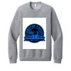 Unisex Sponge Fleece Raglan Sweatshirt Thumbnail