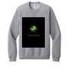 Unisex Sponge Fleece Raglan Sweatshirt Thumbnail