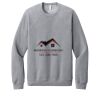 Unisex Sponge Fleece Raglan Sweatshirt Thumbnail