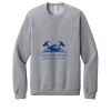 Unisex Sponge Fleece Raglan Sweatshirt Thumbnail