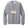 Unisex Sponge Fleece Raglan Sweatshirt Thumbnail