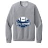 Unisex Sponge Fleece Raglan Sweatshirt Thumbnail
