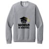 Unisex Sponge Fleece Raglan Sweatshirt Thumbnail