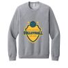 Unisex Sponge Fleece Raglan Sweatshirt Thumbnail