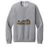 Unisex Sponge Fleece Raglan Sweatshirt Thumbnail