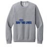 Unisex Sponge Fleece Raglan Sweatshirt Thumbnail