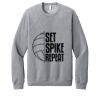Unisex Sponge Fleece Raglan Sweatshirt Thumbnail