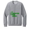 Unisex Sponge Fleece Raglan Sweatshirt Thumbnail