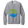 Unisex Sponge Fleece Raglan Sweatshirt Thumbnail
