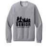 Unisex Sponge Fleece Raglan Sweatshirt Thumbnail